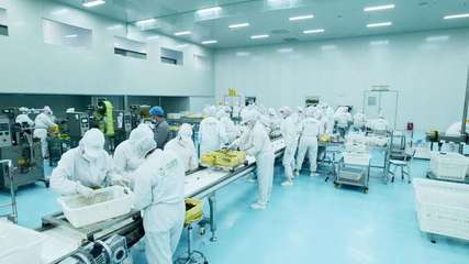 疆果果 深耕新疆堅(jiān)果，以創(chuàng)新研發(fā)打造品質(zhì)與文化融合的產(chǎn)業(yè)標(biāo)桿